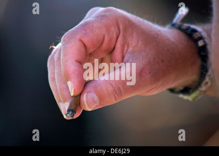 Hand, die Zigarre geraucht Stockfoto