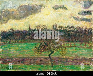 Die Wiesen am Éragny, Apfelbaum, 1894. Artist: Pissarro, Camille (1830-1903) Stockfoto