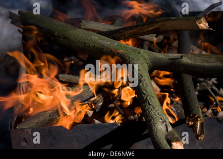 Dicke trockene gebrochene Äste brennen in einem Eisen Feuerschale unter Sonnenlicht Detailansicht Stockfoto