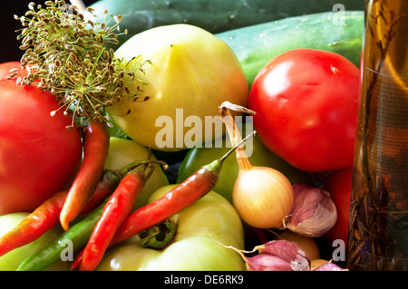 Zutaten für eingelegtes Gemüse wie Tomaten (rot und grün) Gurken, Peperoni, Zwiebeln (rot und weiß), Knoblauch und dill Stockfoto