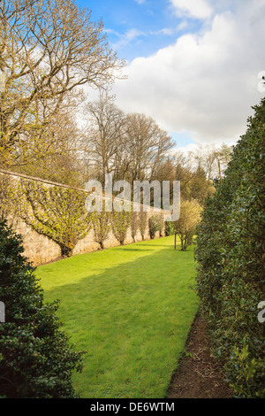 Espaliered Bäume im ummauerten Garten am Pittodrie in der Nähe von Monymusk in Aberdeenshire, Schottland. Stockfoto