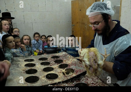 Ultraorthodoxe Kinder beobachten, wie ein religiöser Jude während des Kapparot-Rituals auf dem Yom-Kipur-Vorabend in der Nachbarschaft von Mea Shearim, einer ultraorthodoxen Enklave in Westjerusalem Israel, ein Huhn schlachtet. In der jüdischen religiösen Praxis von Kapparot wird ein Hahn buchstäblich zu einem religiösen und heiligen Gefäß und wird um den Kopf geschwenkt und dann am Nachmittag vor Jom Kippur, dem Tag der Sühne, geopfert. Stockfoto