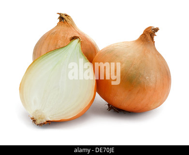 frische Zwiebeln auf einem weißen Hintergrund verbreiteten Gemüse Stockfoto