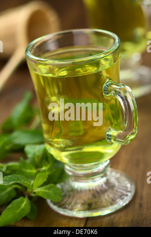 Frisch zubereiteter Pfefferminztee aus frischen Blättern serviert im Glas-Tasse mit Blättern auf der Seite und das Sieb in den Rücken Stockfoto