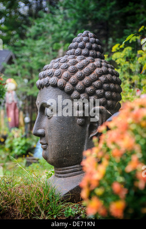 BuddhaKopf im kanadischen Garten Stockfotografie Alamy
