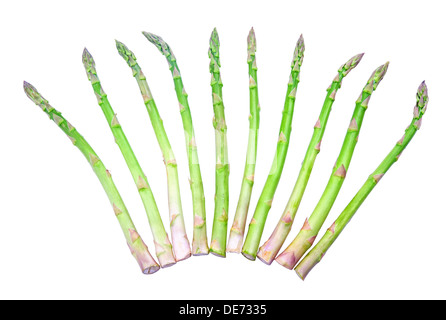 Reihe von frischen Grünspargel isoliert auf weißem Hintergrund Stockfoto