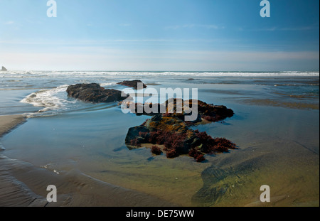 OREGON - Felsen in der Gezeitenzone China Strand an der Pazifikküste im Samuel H. Boardman State Park. Stockfoto