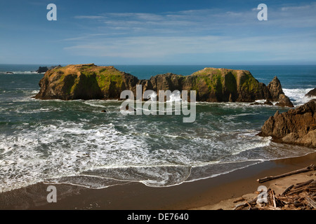 OR01164-00... OREGON - Wellen, die durch die natürliche Bögen in Elephant Rock off Coquille Punkt in Bandon. Stockfoto