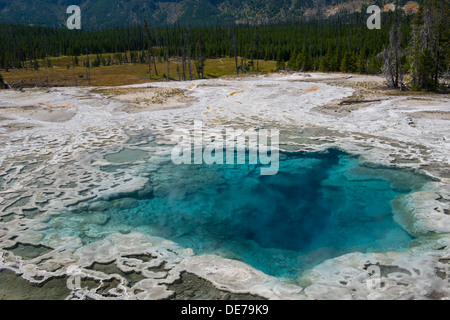 Foto von der Artemisia-Geysir, vom Yellowstone National Park. Stockfoto