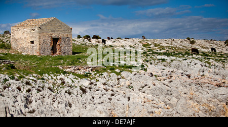 La Tonnara del Secco (Thunfisch Fisherie) in der Nähe von San Vito lo Capo in der Provinz von Trapani, Sizilien. Stockfoto