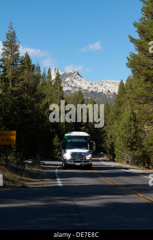 Kostenloser Transport auf ein Hybrid-Shuttle-Bus-Service läuft in Yosemite Nationalparks Tuolumne Meadows Stockfoto