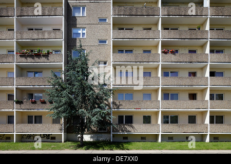 Berlin, Deutschland, Unsanierter Block als Wohnungen genutzt Stockfoto