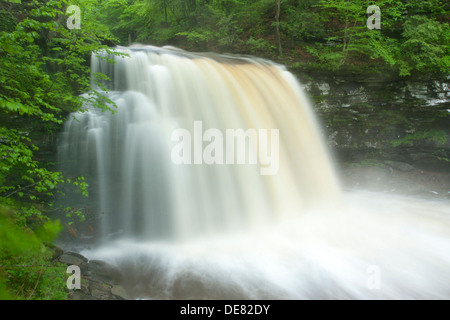 ERIE WASSERFALL KÜCHE CREEK RICKETTS GLEN STATE PARK LUZERNE COUNTY PENNSYLVANIA USA Stockfoto