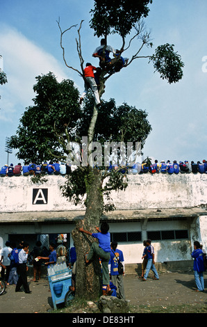 AREMA CLUB FUßBALLFANS IN MALANG OST-JAVA, INDONESIEN Stockfoto