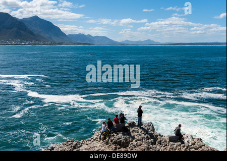 Menschen auf der Suche nach Walen vom oberen Rand einer felsigen Küste, Hermanus, Western Cape, Südafrika Stockfoto