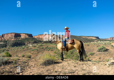 Modernen Cowboy zu Pferd reitet sein Pferd in der Wüste in der Nähe von Colorado National Monument, Colorado, USA Stockfoto
