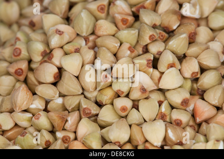 Buchweizen, Gemeiner Buchweizen, Körner, Echter Buchweizen, Korn, Fagopyrum esculentum Stockfoto