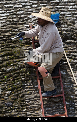 Ein Arbeiter auf einer Leiter, die Reinigung des Mauerwerkes Bestandteil der großen Pyramide von Cholula in Mexiko Stockfoto