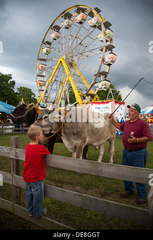 Chatham, New York - ein Junge beobachtet, wie Ralph Hartzell seine Ochsen für Besucher im Columbia County Fair zeigt. Stockfoto