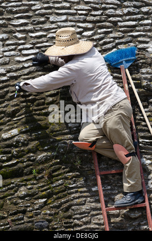 Ein Arbeiter auf einer Leiter, die Reinigung des Mauerwerkes Bestandteil der großen Pyramide von Cholula in Mexiko Stockfoto