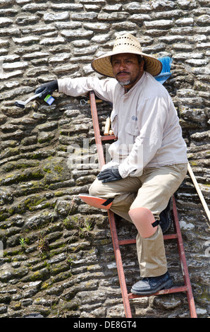 Ein Arbeiter auf einer Leiter, die Reinigung des Mauerwerkes Bestandteil der großen Pyramide von Cholula in Mexiko Stockfoto