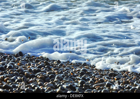 Flut am Kiesstrand an Jurassic Küste in Sidmouth, Devon, England, UK Stockfoto