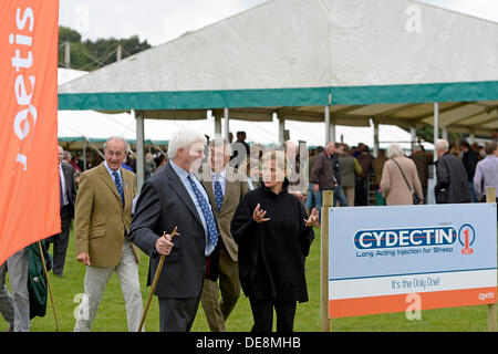 KELSO, Schottland, Großbritannien. 13. September 2013. Grenze Union Agricultural Society, The Cydectin Kelso Ram Umsatz 2013 ist den 175. Jahrestag der Ram-Verkäufe.  HRH die Gräfin von Wessex plaudert mit Ronald Wilson, Sekretär der Grenze Union Agricultural Society (Photo Credit: Rob Gray) Credit: Rob Gray/Alamy Live News Stockfoto