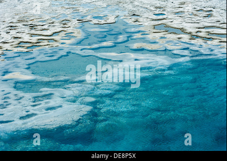 Foto von der Artemisia-Geysir, vom Yellowstone National Park. Stockfoto