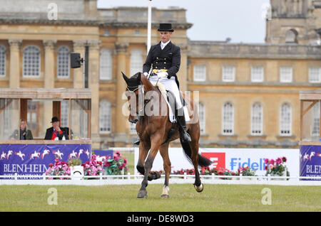 2013 Treue Blenheim Palace Horse Trials. Woodstock Oxford, England. Freitag, den 13. September. Gordon Murphy (GBR) mit Imperial während der Dressur Phase CCI *** dreitägigen Veranstaltung Credit: Julie Badrick/Alamy Live News Stockfoto