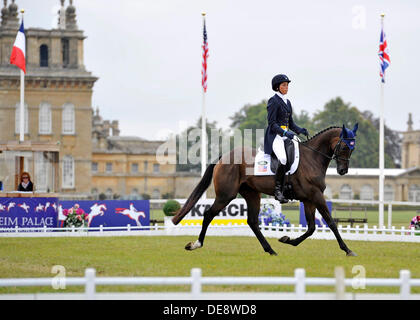 2013 Treue Blenheim Palace Horse Trials. Woodstock Oxford, England. Freitag, den 13. September. Meghan O' Donoghue (USA) mit Piraten während der Dressur Phase CCI *** dreitägigen Veranstaltung Credit: Julie Badrick/Alamy Live News Stockfoto