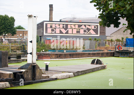 East End von London Fisch Insel Riviera Hackney Wick Cut River Lee alter Ford Lock Nr. 19 Hertford Union Canal Algen Alge schwimmenden Müll Müll Verschmutzung Stockfoto