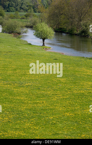 Hamm, Deutschland, Lippeaue Life-Projekt Stockfoto