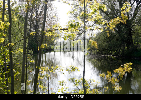 Hamm, Deutschland, Lippeaue Life-Projekt Stockfoto