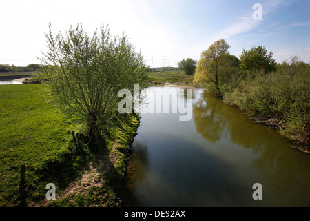 Hamm, Deutschland, Lippeaue Life-Projekt Stockfoto