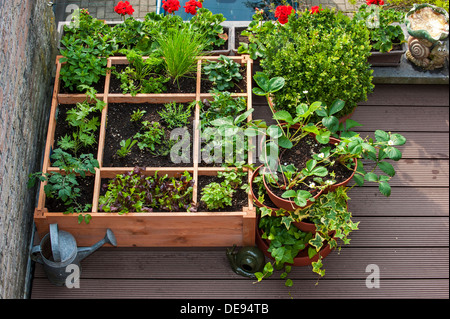 Quadratfuß Gartenarbeit durch das Einpflanzen von Blumen, Kräutern und Gemüse in Holzkiste auf Balkon Stockfoto