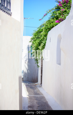 Schön gepflasterte Straße mit alten traditionellen weißen Haus in Emporio Santorini, Griechenland Stockfoto