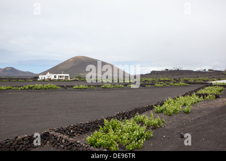 Das Bild gehört zu einer Reihe von Bildern von der Insel Lanzarote, Urlaub Stockfoto