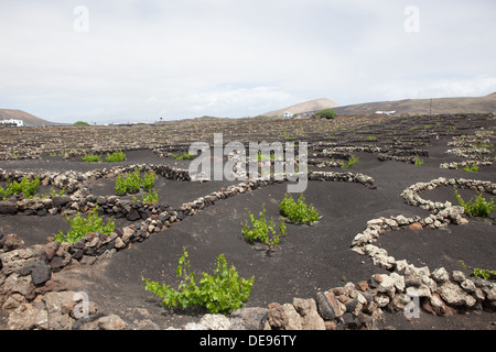 Das Bild gehört zu einer Reihe von Bildern von der Insel Lanzarote, Urlaub Stockfoto