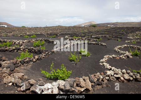 Das Bild gehört zu einer Reihe von Bildern von der Insel Lanzarote, Urlaub Stockfoto