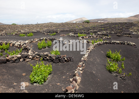 Das Bild gehört zu einer Reihe von Bildern von der Insel Lanzarote, Urlaub Stockfoto