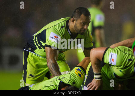 LONDON, UK - Freitag, 13. September 2013. Samu Manoa von Northampton Saints wartet, bis ein Gedränge zu packen. Aktion während des Spiels der Aviva Premiership spielte in Twickenham Stoop, London Credit: Graham Wilson/Alamy Live News Stockfoto