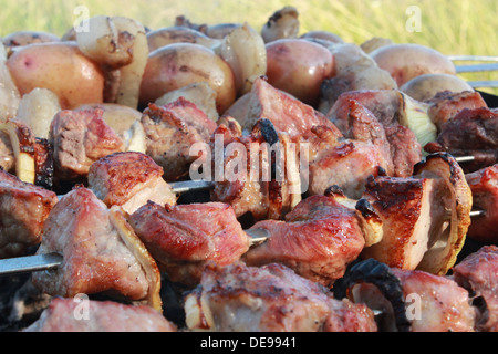 appetitlich Grill mit tollen Stücken von Fleisch auf dem Feuer Stockfoto