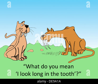 "Was meinst du, 'Ich schaue in die Jahre gekommen'?" Stockfoto