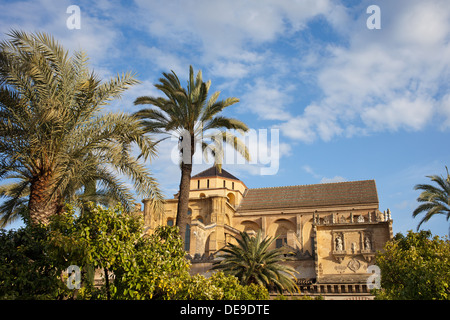 Garten im Innenhof und Mezquita-Kathedrale (die große Moschee) historischer Architektur in Córdoba, Spanien, Andalusien. Stockfoto