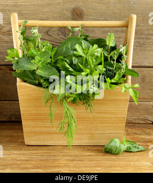 verschiedene Kräuter (Basilikum, Thymian, Petersilie, Minze und Dill) auf hölzernen Hintergrund Stockfoto