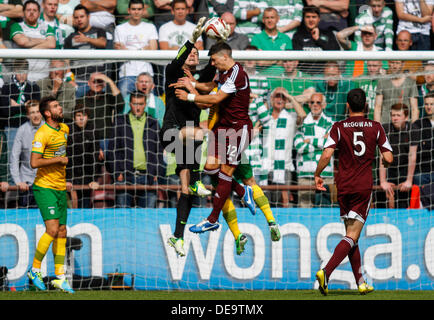 Edinburgh, Schottland. 14. September 2013. Fraser Forster sammelt sich in der Luft aus dem Kopf von Callum Paterson in der Scottish Premier League-Spiel zwischen Heart of Midlothian und Celtic aus Tynecastle Stadium. Bildnachweis: Aktion Plus Sport/Alamy Live-Nachrichten Stockfoto