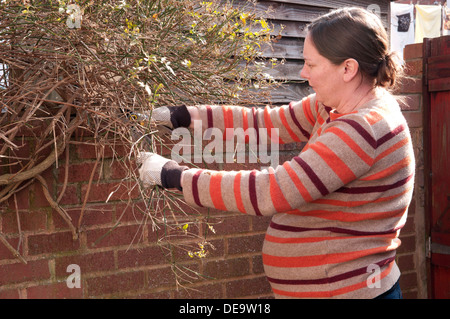 Schwangere Frau in ihrem dritten Trimester beschneiden Winter Jasmin Stockfoto