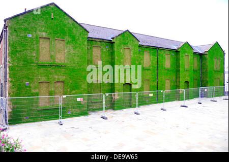 Ebrington Square, Derry, Londonderry, Nordirland, Vereinigtes Königreich, 14. September 2013. Ein historisches Gebäude und Ex-British Army geheiratet Quartalen hat sich gewandelt in eine temporäre Kunst-Installation. Die dunklen Fa cade von Cunningham Gebäude auf Ebrington Platz wurde in Millionen von Grassamen Künstlers Dan Harvey und seine Partnerin Heather Ackroyd berichtet.  Die Installation, Teil des Projekts Kulturhauptstadt UK ist für die Öffentlichkeit vom 15 September bis zum 27. Oktober 2013 geöffnet. Bildnachweis: George Sweeney / Alamy Live News. Bildnachweis: George Sweeney / Alamy Live News Stockfoto