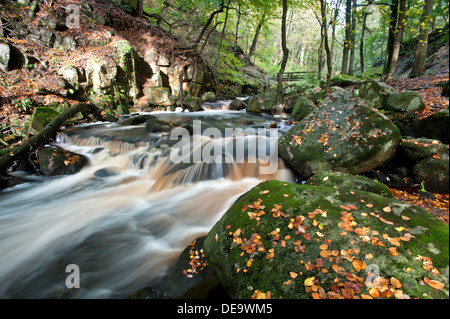 Padley Schlucht im Herbst, in der Nähe von Grindleford, Peak District National Park, Derbyshire, England, Vereinigtes Königreich Stockfoto