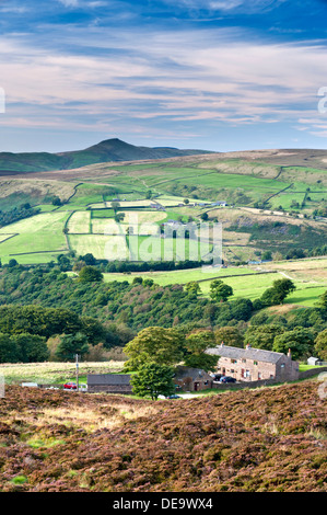 Shutlingsloe gesehen über Roach Ende, der Kakerlaken, Peak District National Park, Staffordshire, England, UK Stockfoto